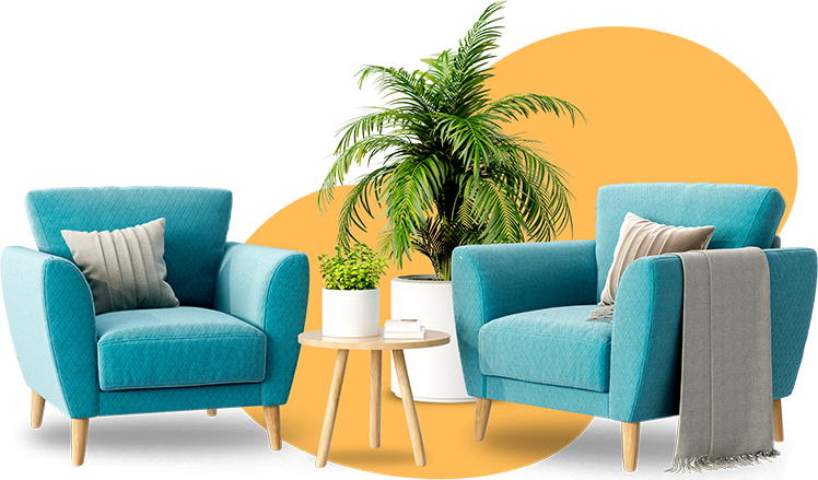 Затишні сині крісла та пальма.